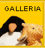 De Galerii